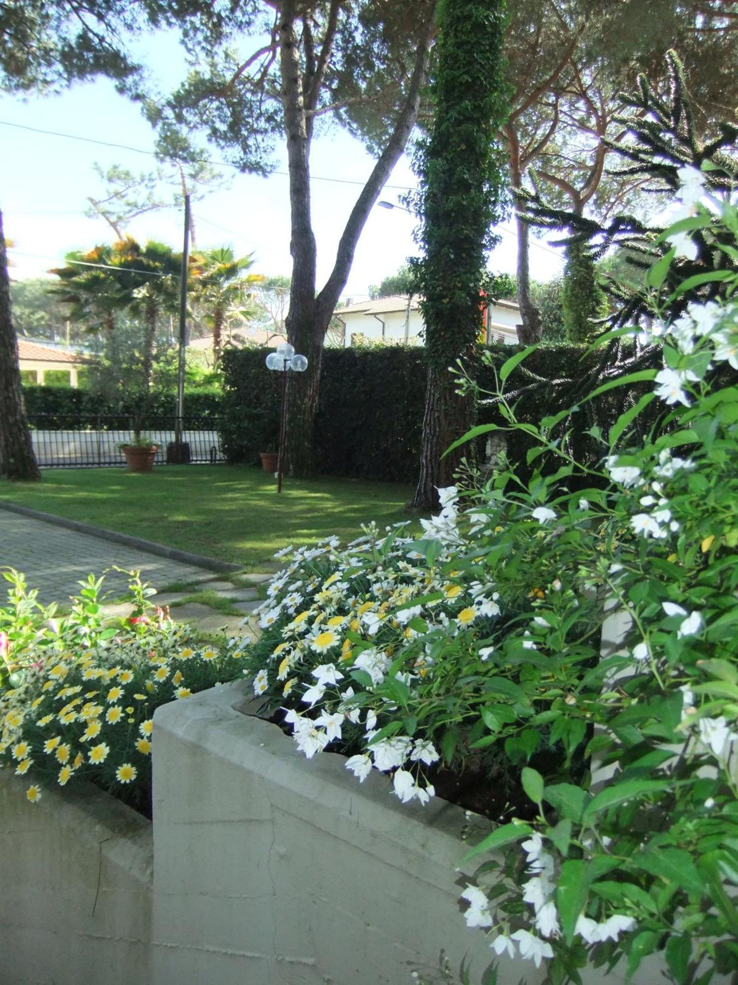 Hotel Giulio Cesare Cinquale Εξωτερικό φωτογραφία